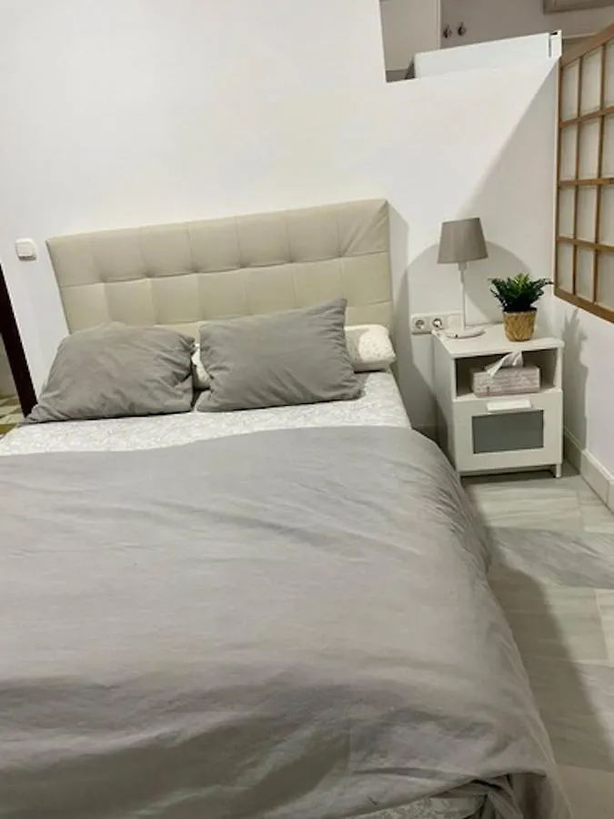 Holidays2Malaga Jinetes Junto Casco Historico & Parking Apartment